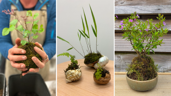Kokedama Workshop