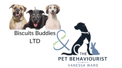 Calm Canines Class 