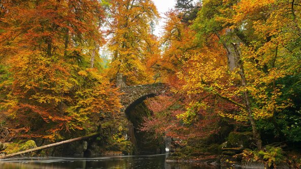 Pitlochry Beginners SLR course