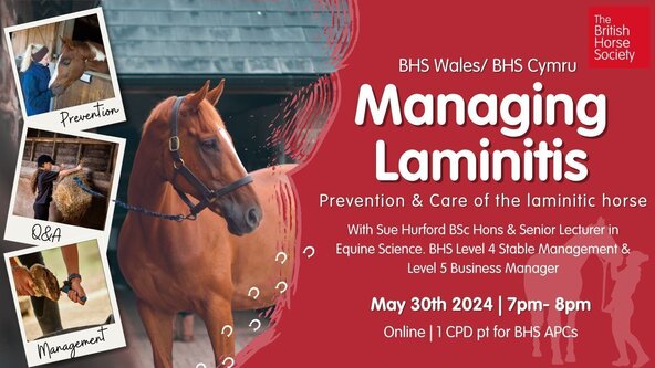 Managing Laminitis - Prevention & Care of the laminitic horse