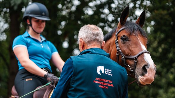 BHS Stage 4 Coach Training Day at Cardiff Riding School Monday 5th Oct 2026 9.30am - 4pm
