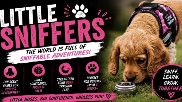 Little Sniffers Puppy Foundations Course (4 weeks) 
