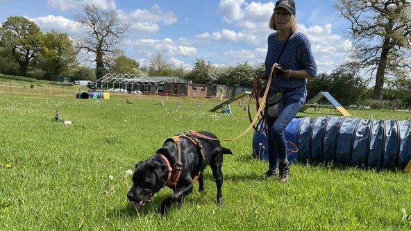 Trailing Introduction (3 Weeks)