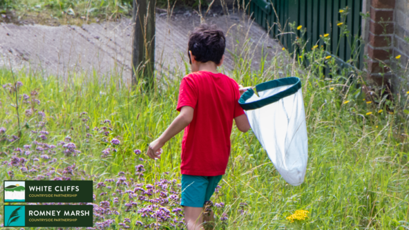 Bug Hunt at Western Heights