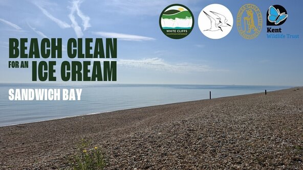 Beach Clean for an Ice Cream: Sandwich Bay