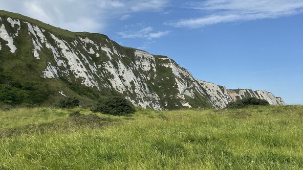 Dover Youth Festival: Wildlife Photography Workshop 
