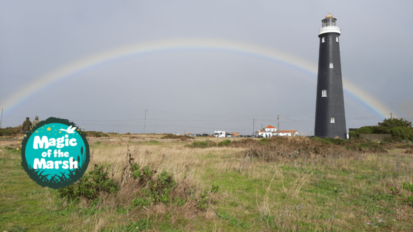 Dungeness: Volunteer Taster Session