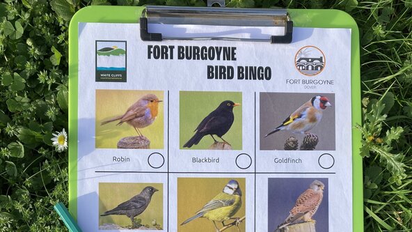 Bird Bingo at Fort Burgoyne