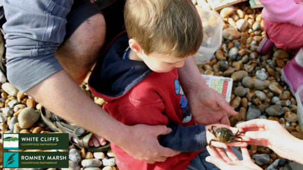 Rock Pooling at Samphire Hoe