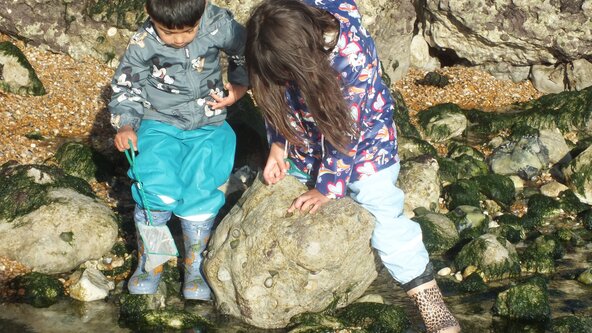 Green Gang: Samphire Hoe Rockpooling