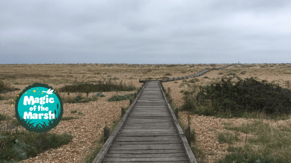 Discover Dungeness: Guided Walk