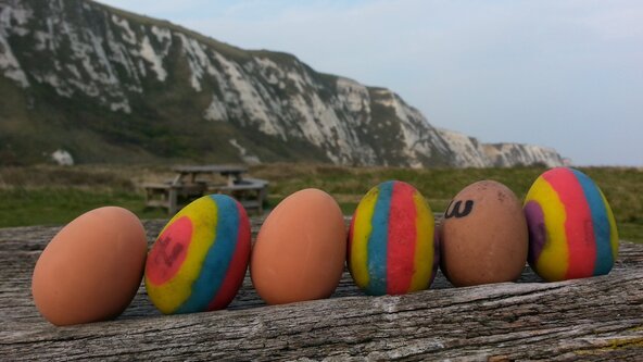 Samphire Hoe Eggcellent Challenge