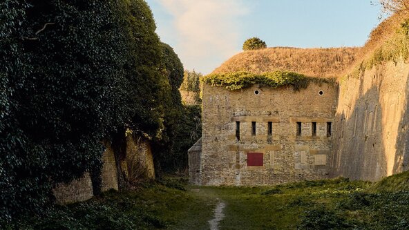 Dusk Wildlife Walk at Western Heights