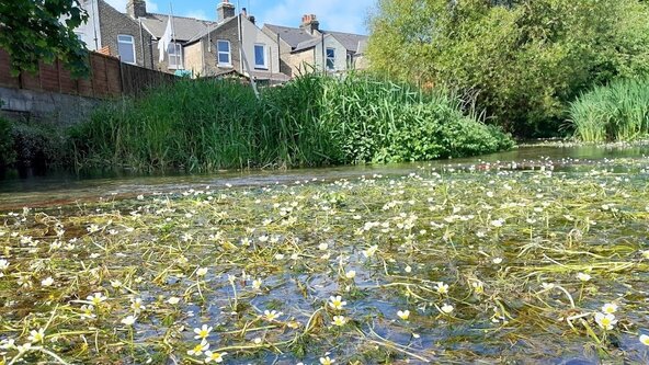 River Dour Workshop