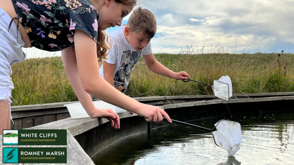 Grassland Critters and Pond Creatures at Samphire Hoe