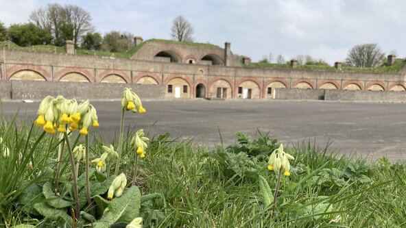 Fort Burgoyne Spring Trail