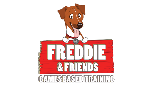 Puppy and Beginners Life skills 8 Week Course