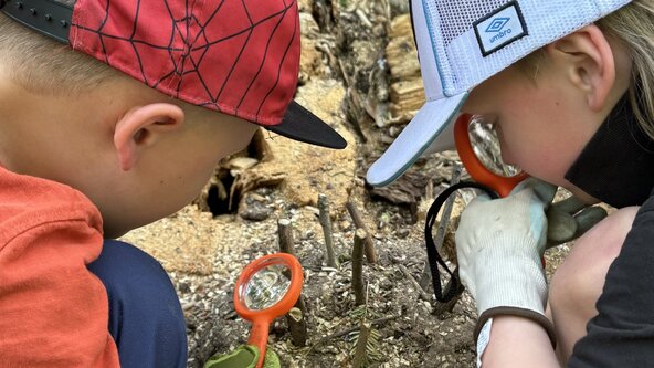 After School Adventures - Mondays (Rec - Y3)