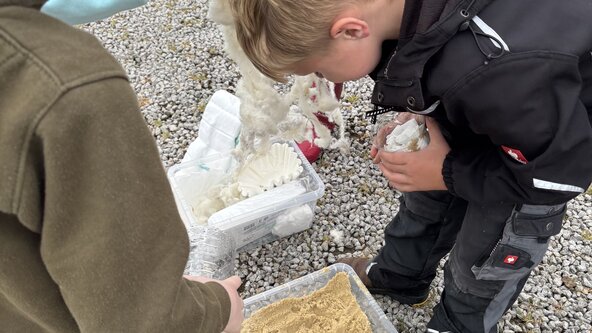 Wild Science & Wild Art (6-12yrs)