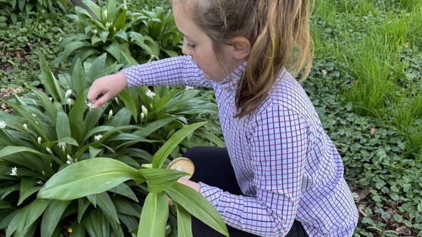 Forage, Food & Fire (7-13yrs)