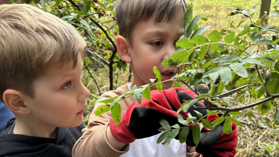 Foraging, Food & Forest School (6-12 years)