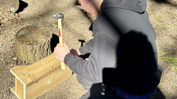 Woodcraft & Forest Olympics (7-13yrs)