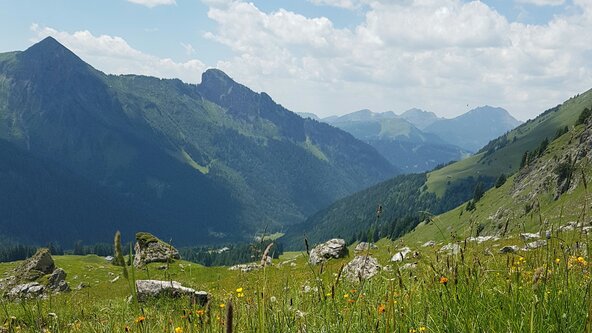  The GR5 as 3 separate day walks - reservation form