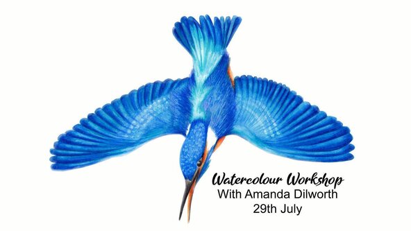 Watercolour workshop - with illustrator Amanda