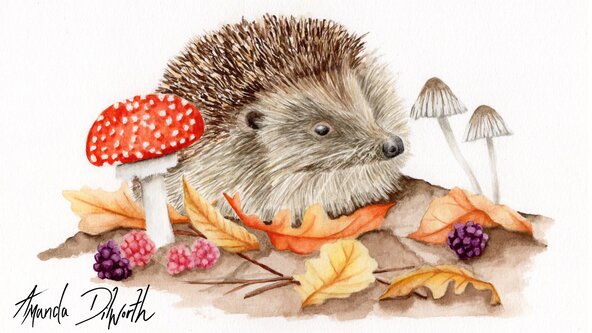 Watercolour workshop - with illustrator Amanda