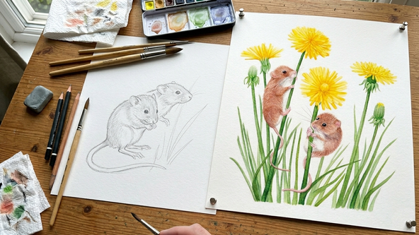 Watercolour workshop - with illustrator Amanda