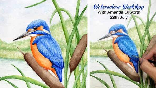 Watercolour workshop - with illustrator Amanda