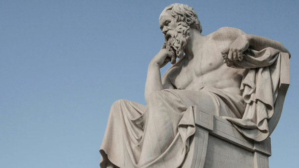 JOIN ONLINE: What is the role of academia in addressing the biodiversity crisis?