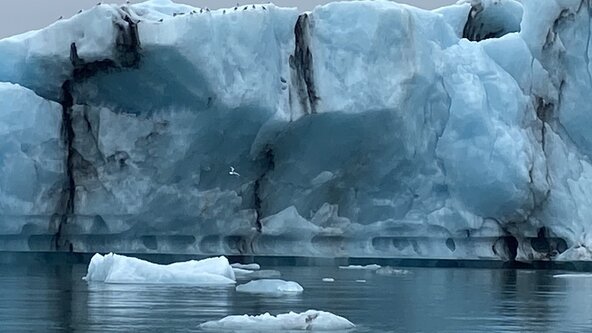 JOIN IN PERSON: How Story Creates Agency for the Nature and Climate Crises, Jules Pretty, University of Essex