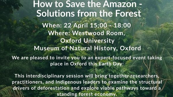 How to Save the Amazon: Solutions from the Forest