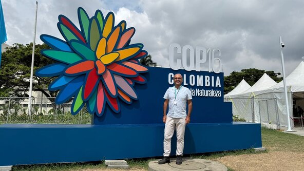 ATTEND ONLINE: Oxford Delegation COP16 Debrief – What happened at UN Biodiversity Conference?