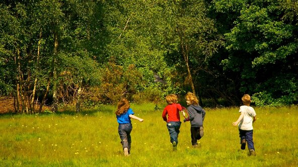 Tuesday Home Ed Session (Sept - Oct) CRANE PARK at Crane Park
Twickenham
TW2 6AA