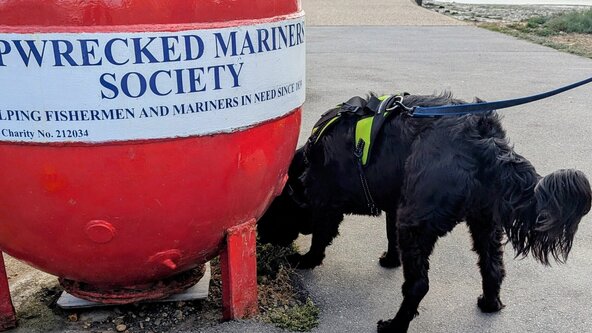 Mantrailing Progression - Brightlingsea Oyster Tank Road