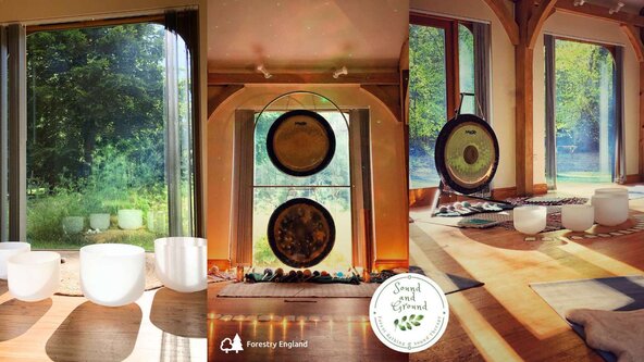 Afternoon sound bath at High Lodge, Thetford Forest