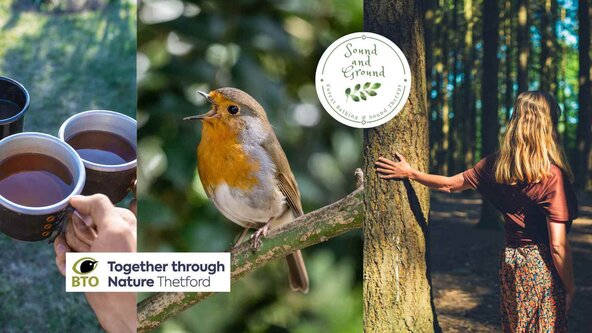 Nature connection and mindfulness for wellbeing at the BTO