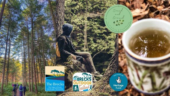 Introduction to Forest Bathing - Brecks outdoor festival