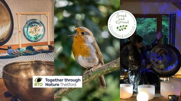 Thetford Community Bird Song Sound Baths at the BTO