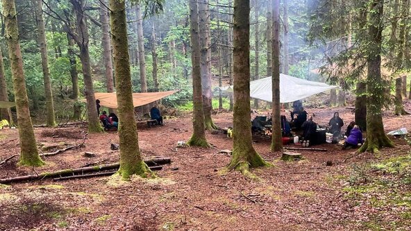 12th October 2026 - ITC Level 3 Certificate for Forest School Leaders @ Grizedale, Cumbria (Shield Fern)