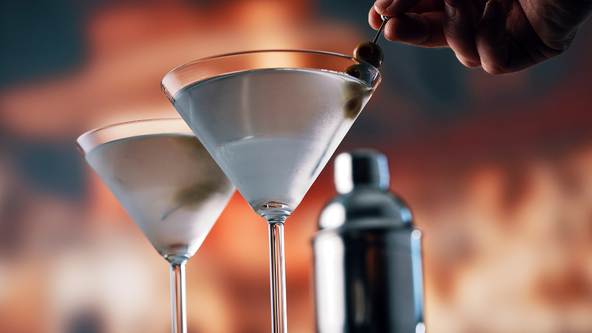 The Art of the Martini: Shaken, Stirred & Reimagined 🍸