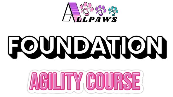 September Foundation Agility Course 