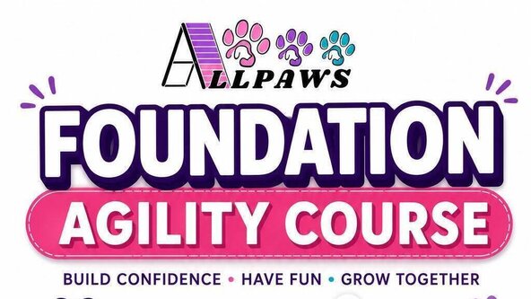July Foundation Agility Course 