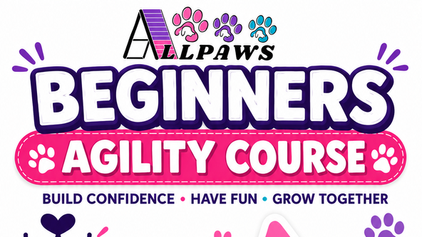 October Beginners Class