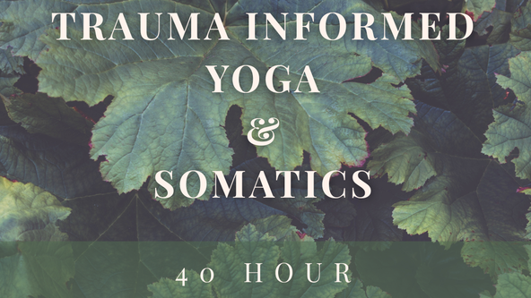 Trauma Informed Yoga & Somatics Training 40 Hour CPD
