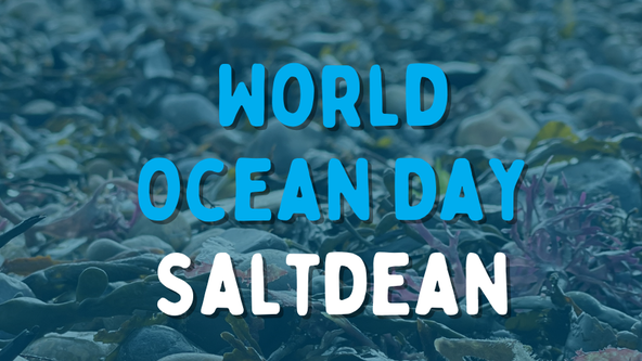 World Ocean Day - Saltdean Beach