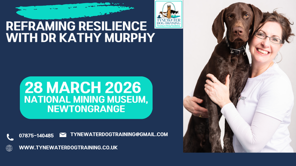 Reframing Resilience with Dr Kathy Murphy