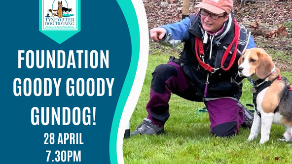 Foundation Goody Goody Gundog